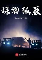 谍海孤烟
